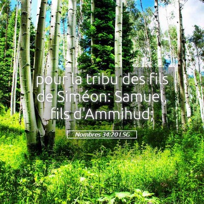 Picture 05 - Nombres 34:20 LSG - pour la tribu des fils de Siméon: Samuel, fils - Bible Verse Picture