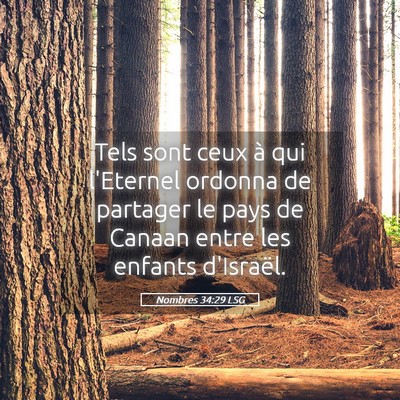 Picture 05 - Nombres 34:29 LSG - Tels sont ceux à qui l'Eternel ordonna de - Bible Verse Picture