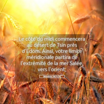 Picture 05 - Nombres 34:3 LSG - Le côté du midi commencera au désert de Tsin - Bible Verse Picture