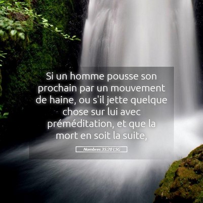 Picture 05 - Nombres 35:20 LSG - Si un homme pousse son prochain par un mouvement - Bible Verse Picture