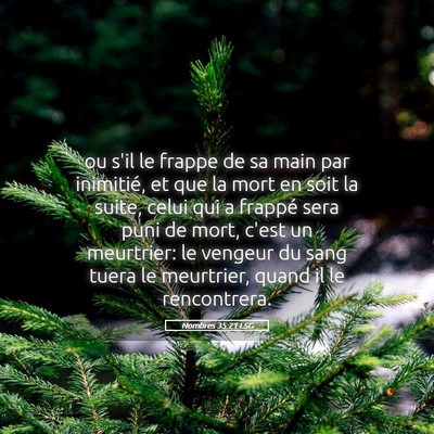 Picture 05 - Nombres 35:21 LSG - ou s'il le frappe de sa main par inimitié, et - Bible Verse Picture