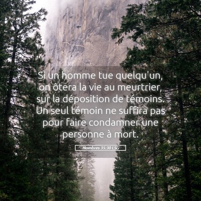 Picture 05 - Nombres 35:30 LSG - Si un homme tue quelqu'un, on ôtera la vie au - Bible Verse Picture