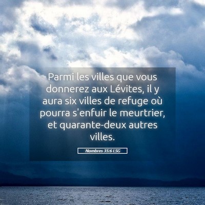 Picture 05 - Nombres 35:6 LSG - Parmi les villes que vous donnerez aux Lévites, - Bible Verse Picture