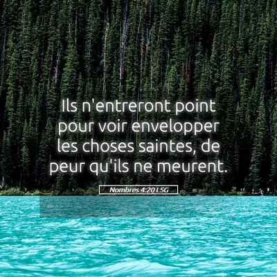 Picture 05 - Nombres 4:20 LSG - Ils n'entreront point pour voir envelopper les - Bible Verse Picture
