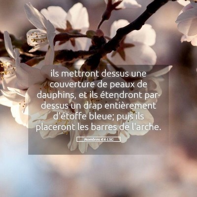 Picture 05 - Nombres 4:6 LSG - ils mettront dessus une couverture de peaux de - Bible Verse Picture