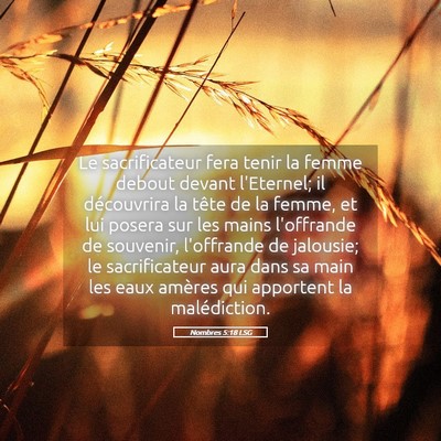 Picture 05 - Nombres 5:18 LSG - Le sacrificateur fera tenir la femme debout - Bible Verse Picture