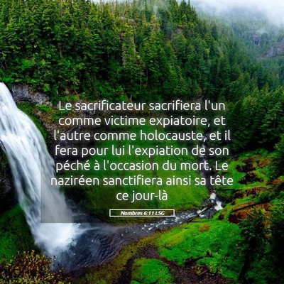 Picture 05 - Nombres 6:11 LSG - Le sacrificateur sacrifiera l'un comme victime - Bible Verse Picture