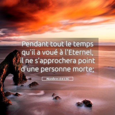 Picture 05 - Nombres 6:6 LSG - Pendant tout le temps qu'il a voué à l'Eternel, - Bible Verse Picture