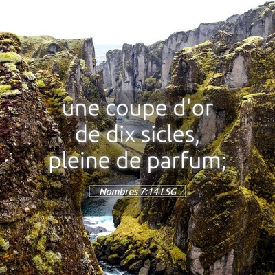 Picture 05 - Nombres 7:14 LSG - une coupe d'or de dix sicles, pleine de - Bible Verse Picture
