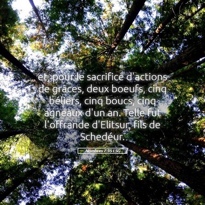 Picture 05 - Nombres 7:35 LSG - et, pour le sacrifice d'actions de grâces, deux - Bible Verse Picture