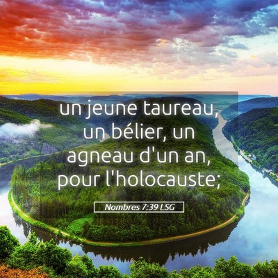 Picture 05 - Nombres 7:39 LSG - un jeune taureau, un bélier, un agneau d'un an, - Bible Verse Picture