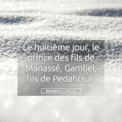 Picture 05 - Nombres 7:54 LSG - Le huitième jour, le prince des fils de - Bible Verse Picture