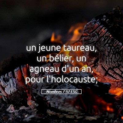 Picture 05 - Nombres 7:57 LSG - un jeune taureau, un bélier, un agneau d'un an, - Bible Verse Picture