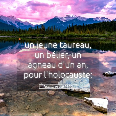 Picture 05 - Nombres 7:81 LSG - un jeune taureau, un bélier, un agneau d'un an, - Bible Verse Picture