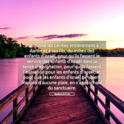 Picture 05 - Nombres 8:19 LSG - J'ai donné les Lévites entièrement à Aaron et - Bible Verse Picture