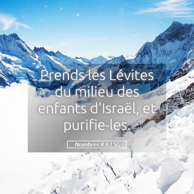 Picture 05 - Nombres 8:6 LSG - Prends les Lévites du milieu des enfants - Bible Verse Picture
