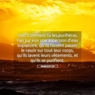 Picture 05 - Nombres 8:7 LSG - Voici comment tu les purifieras. Fais sur eux une - Bible Verse Picture