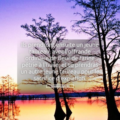 Picture 05 - Nombres 8:8 LSG - Ils prendront ensuite un jeune taureau, avec - Bible Verse Picture