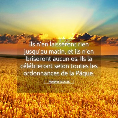 Picture 05 - Nombres 9:12 LSG - Ils n'en laisseront rien jusqu'au matin, et ils - Bible Verse Picture