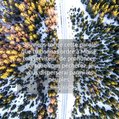 Picture 05 - Néhémie 1:8 LSG - Souviens-toi de cette parole que tu donnas ordre - Bible Verse Picture