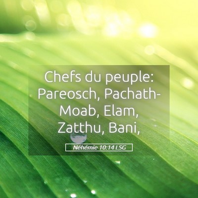 Picture 05 - Néhémie 10:14 LSG - Chefs du peuple: Pareosch, Pachath-Moab, Elam, - Bible Verse Picture