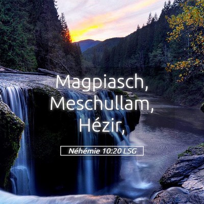 Picture 05 - Néhémie 10:20 LSG - Magpiasch, Meschullam, - Bible Verse Picture