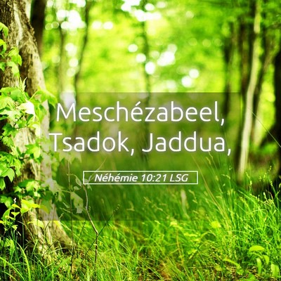 Picture 05 - Néhémie 10:21 LSG - Meschézabeel, Tsadok, - Bible Verse Picture