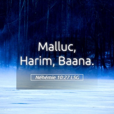 Picture 05 - Néhémie 10:27 LSG - Malluc, Harim, - Bible Verse Picture
