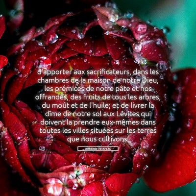 Picture 05 - Néhémie 10:37 LSG - d'apporter aux sacrificateurs, dans les chambres - Bible Verse Picture