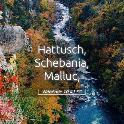 Picture 05 - Néhémie 10:4 LSG - Hattusch, Schebania, - Bible Verse Picture