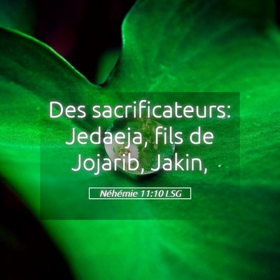 Picture 05 - Néhémie 11:10 LSG - Des sacrificateurs: Jedaeja, fils de Jojarib, - Bible Verse Picture