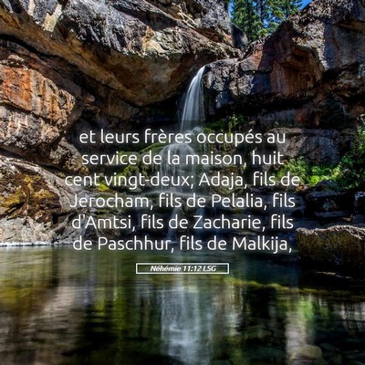 Picture 05 - Néhémie 11:12 LSG - et leurs frères occupés au service de la - Bible Verse Picture