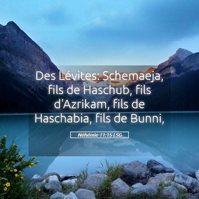 Picture 05 - Néhémie 11:15 LSG - Des Lévites: Schemaeja, fils de Haschub, fils - Bible Verse Picture