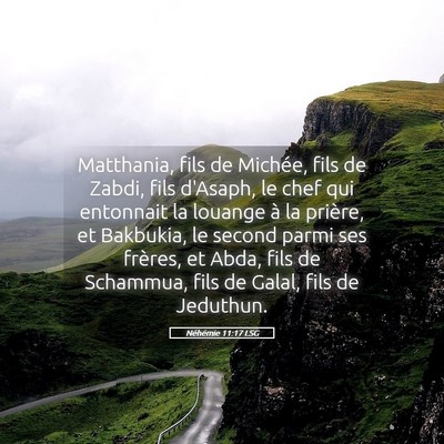 Picture 05 - Néhémie 11:17 LSG - Matthania, fils de Michée, fils de Zabdi, fils - Bible Verse Picture