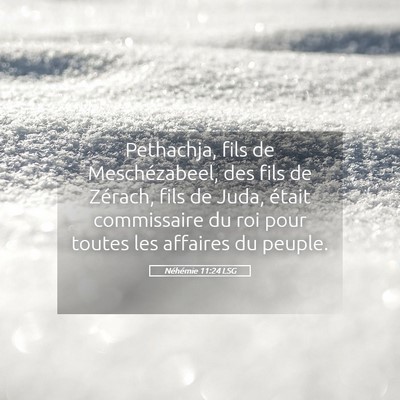 Picture 05 - Néhémie 11:24 LSG - Pethachja, fils de Meschézabeel, des fils de - Bible Verse Picture