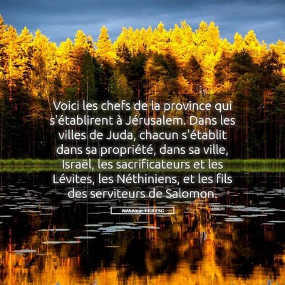 Picture 05 - Néhémie 11:3 LSG - Voici les chefs de la province qui s'établirent - Bible Verse Picture