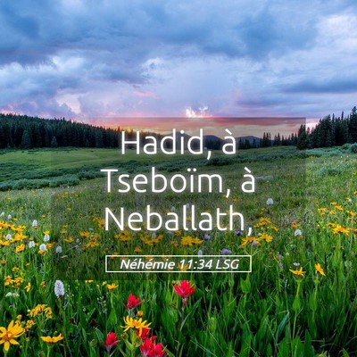 Picture 05 - Néhémie 11:34 LSG - Hadid, à Tseboïm, à - Bible Verse Picture
