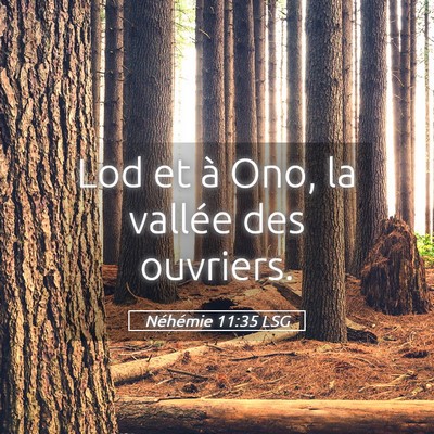 Picture 05 - Néhémie 11:35 LSG - Lod et à Ono, la vallée des - Bible Verse Picture