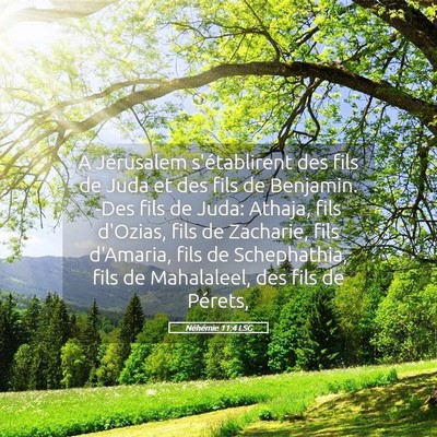 Picture 05 - Néhémie 11:4 LSG - A Jérusalem s'établirent des fils de Juda et - Bible Verse Picture