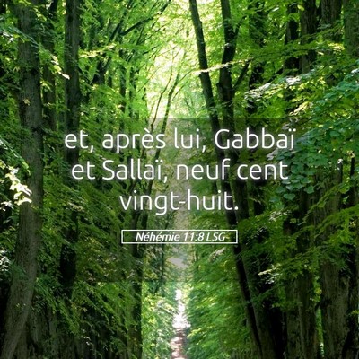 Picture 05 - Néhémie 11:8 LSG - et, après lui, Gabbaï et Sallaï, neuf cent - Bible Verse Picture