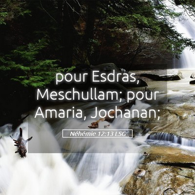 Picture 05 - Néhémie 12:13 LSG - pour Esdras, Meschullam; pour Amaria, - Bible Verse Picture