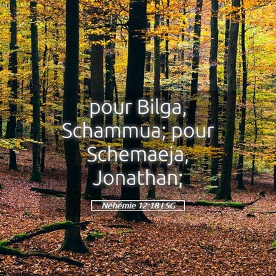 Picture 05 - Néhémie 12:18 LSG - pour Bilga, Schammua; pour Schemaeja, - Bible Verse Picture
