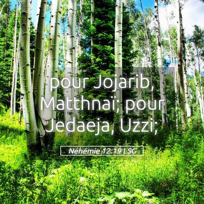 Picture 05 - Néhémie 12:19 LSG - pour Jojarib, Matthnaï; pour Jedaeja, - Bible Verse Picture