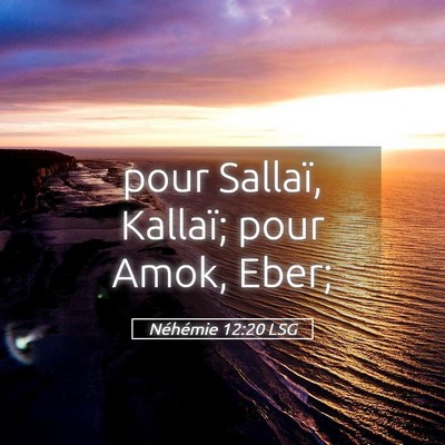 Picture 05 - Néhémie 12:20 LSG - pour Sallaï, Kallaï; pour Amok, - Bible Verse Picture