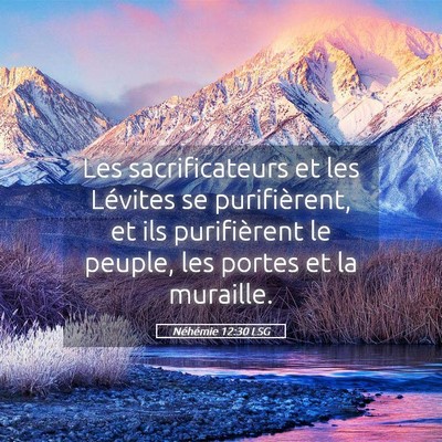 Picture 05 - Néhémie 12:30 LSG - Les sacrificateurs et les Lévites se - Bible Verse Picture
