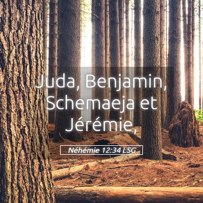 Picture 05 - Néhémie 12:34 LSG - Juda, Benjamin, Schemaeja et - Bible Verse Picture