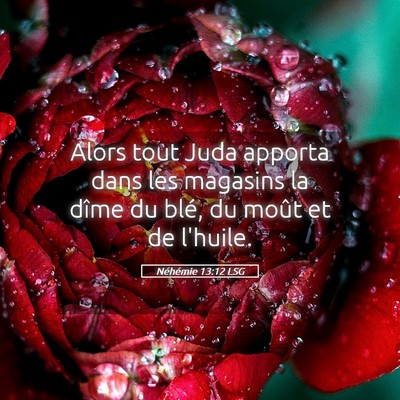 Picture 05 - Néhémie 13:12 LSG - Alors tout Juda apporta dans les magasins la - Bible Verse Picture