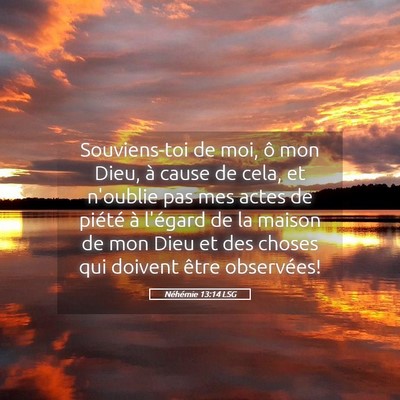 Picture 05 - Néhémie 13:14 LSG - Souviens-toi de moi, ô mon Dieu, à cause de - Bible Verse Picture