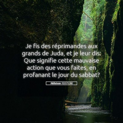 Picture 05 - Néhémie 13:17 LSG - Je fis des réprimandes aux grands de Juda, et je - Bible Verse Picture