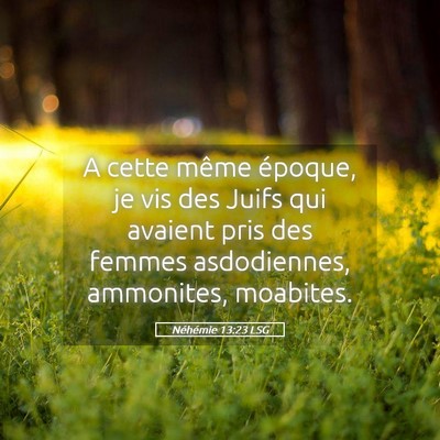 Picture 05 - Néhémie 13:23 LSG - A cette même époque, je vis des Juifs qui - Bible Verse Picture